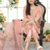 3 Pcs Women's Stitched Organza Embroidered Suit