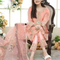 3 Pcs Women's Stitched Organza Embroidered Suit