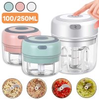 246e6634-8be4-4c88-9e66-369093062cbe.jpg Mini Electric Garlic Chopper USB Charging Ginger Masher Machine Sturdy Durable Chili Vegetable Crusher Kitchen Tool